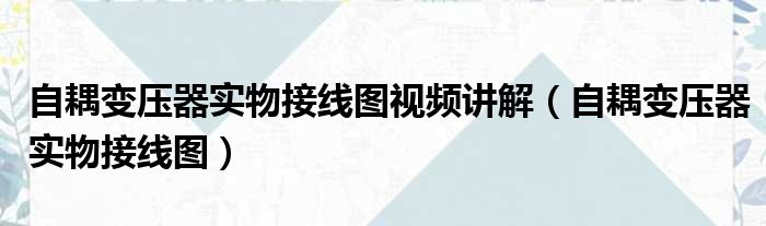 自耦变压器实物接线图视频讲解（自耦变压器实物接线图）
