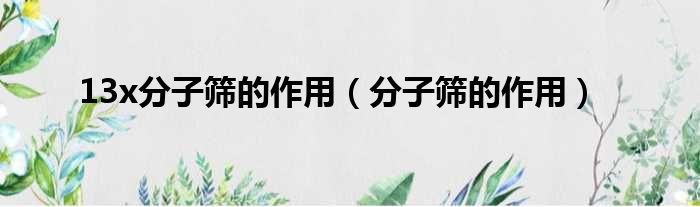 13x分子筛的作用（分子筛的作用）