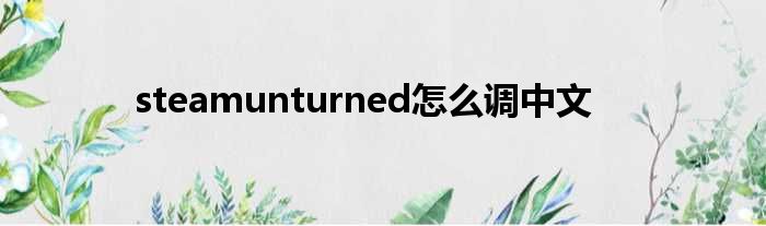 steamunturned怎么调中文