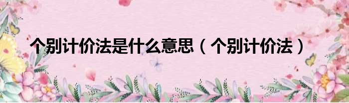 个别计价法是什么意思（个别计价法）