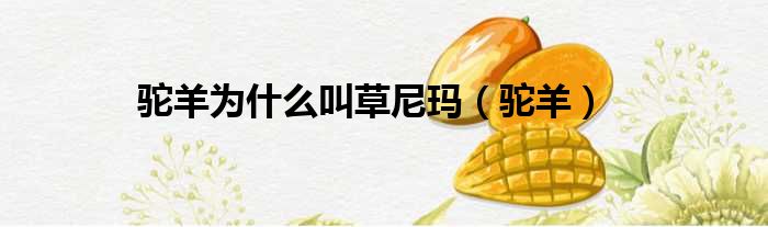 驼羊为什么叫草尼玛（驼羊）