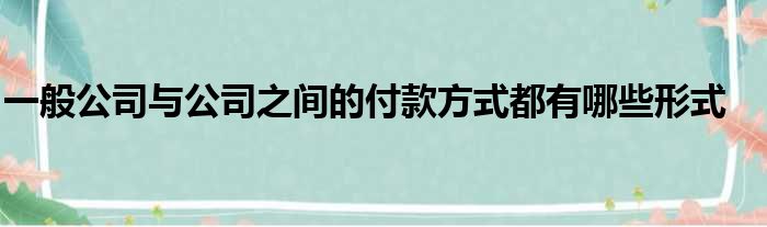 一般公司与公司之间的付款方式都有哪些形式