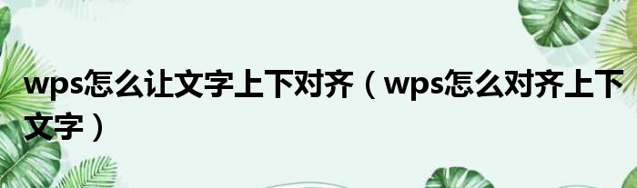 wps怎么让文字上下对齐（wps怎么对齐上下文字）