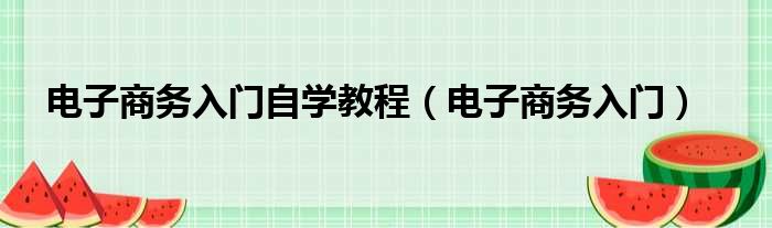 电子商务入门自学教程（电子商务入门）