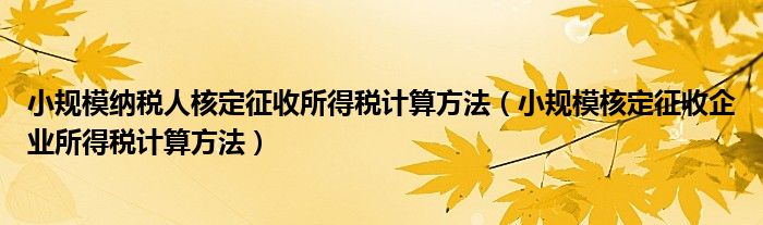 小规模纳税人核定征收所得税计算方法（小规模核定征收企业所得税计算方法）