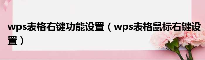 wps表格右键功能设置（wps表格鼠标右键设置）