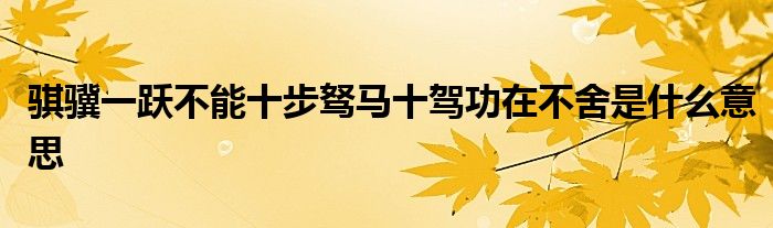 骐骥一跃不能十步驽马十驾功在不舍是什么意思