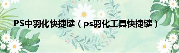 PS中羽化快捷键（ps羽化工具快捷键）