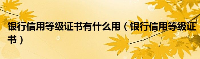 银行信用等级证书有什么用（银行信用等级证书）