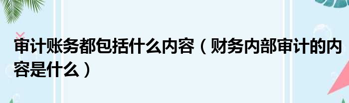 审计账务都包括什么内容（财务内部审计的内容是什么）