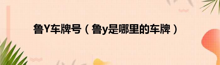 鲁Y车牌号（鲁y是哪里的车牌）