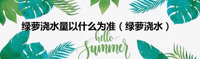 绿萝浇水量以什么为准（绿萝浇水）