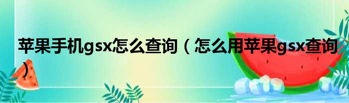苹果手机gsx怎么查询（怎么用苹果gsx查询）