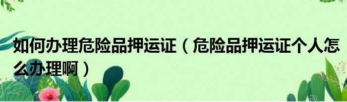 如何办理危险品押运证（危险品押运证个人怎么办理啊）