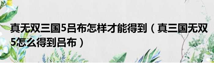 真无双三国5吕布怎样才能得到（真三国无双5怎么得到吕布）