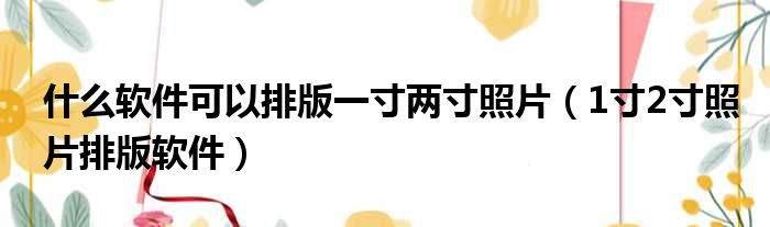 什么软件可以排版一寸两寸照片（1寸2寸照片排版软件）