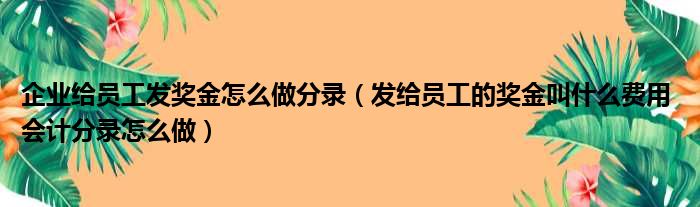 企业给员工发奖金怎么做分录（发给员工的奖金叫什么费用 会计分录怎么做）