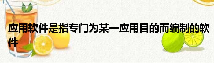 应用软件是指专门为某一应用目的而编制的软件