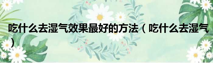 吃什么去湿气效果最好的方法（吃什么去湿气）