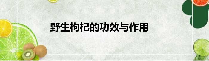 野生枸杞的功效与作用