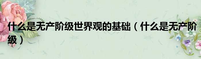 什么是无产阶级世界观的基础（什么是无产阶级）