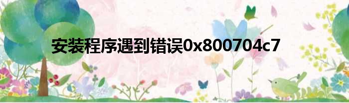 安装程序遇到错误0x800704c7