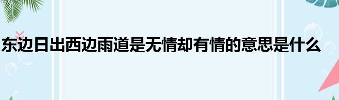 东边日出西边雨道是无情却有情的意思是什么