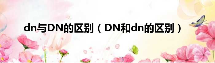 dn与DN的区别（DN和dn的区别）