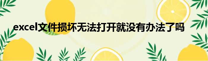 excel文件损坏无法打开就没有办法了吗
