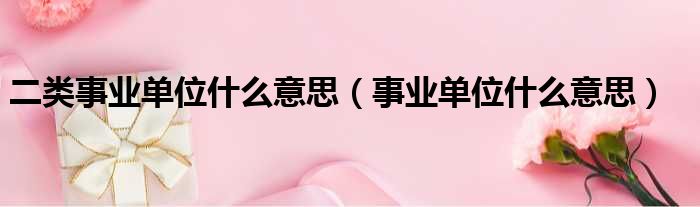 二类事业单位什么意思（事业单位什么意思）