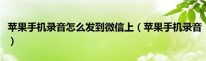 苹果手机录音怎么发到微信上（苹果手机录音）