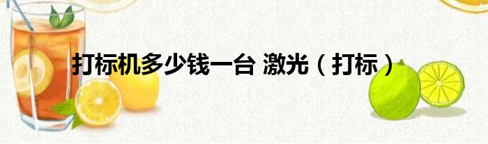 打标机多少钱一台 激光（打标）