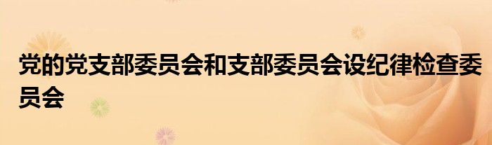 党的党支部委员会和支部委员会设纪律检查委员会