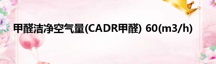 甲醛洁净空气量(CADR甲醛) 60(m3/h)