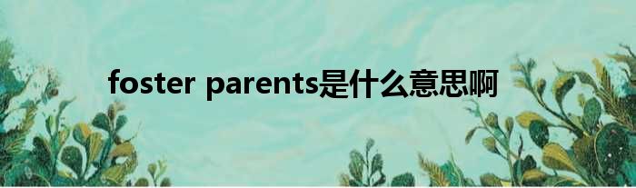 foster parents是什么意思啊
