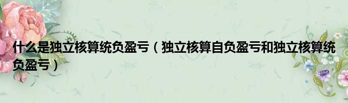 什么是独立核算统负盈亏（独立核算自负盈亏和独立核算统负盈亏）