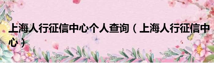上海人行征信中心个人查询（上海人行征信中心）