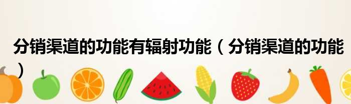 分销渠道的功能有辐射功能（分销渠道的功能）