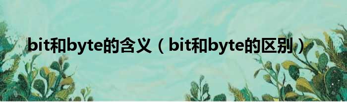 bit和byte的含义（bit和byte的区别）