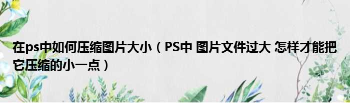 在ps中如何压缩图片大小（PS中 图片文件过大 怎样才能把它压缩的小一点）