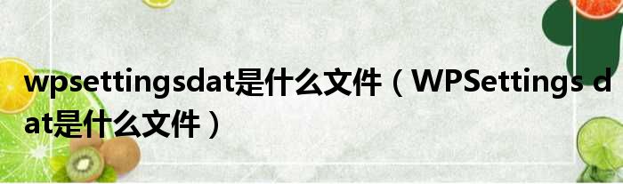 wpsettingsdat是什么文件（WPSettings dat是什么文件）