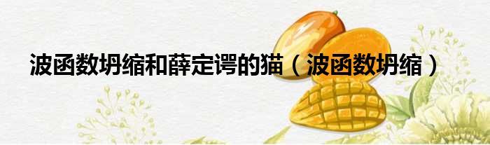 波函数坍缩和薛定谔的猫（波函数坍缩）