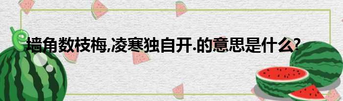 墙角数枝梅,凌寒独自开.的意思是什么?