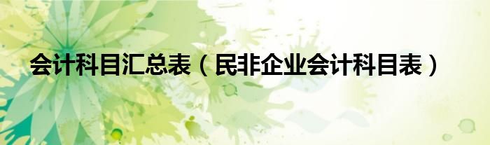 会计科目汇总表（民非企业会计科目表）