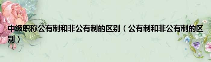 中级职称公有制和非公有制的区别（公有制和非公有制的区别）