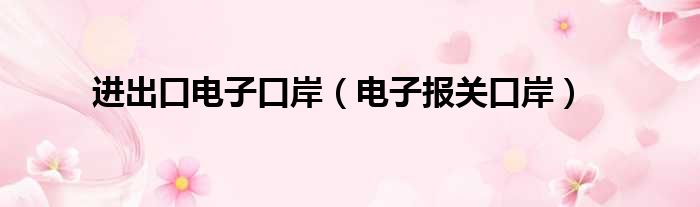 进出口电子口岸（电子报关口岸）