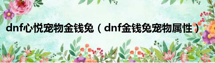 dnf心悦宠物金钱兔（dnf金钱兔宠物属性）