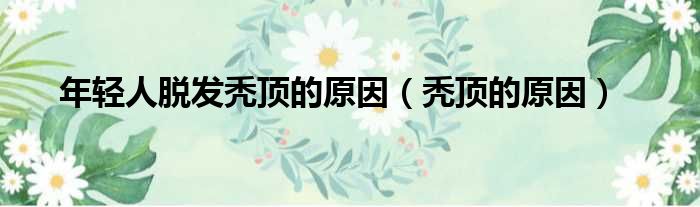 年轻人脱发秃顶的原因（秃顶的原因）
