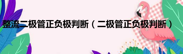 整流二极管正负极判断（二极管正负极判断）