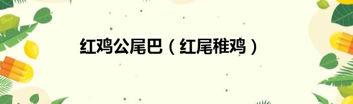 红鸡公尾巴（红尾稚鸡）